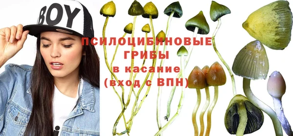 амфетамин Вяземский