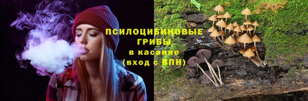прущая мука Вязьма