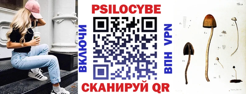 Псилоцибиновые грибы GOLDEN TEACHER  цена наркотик  Обнинск 